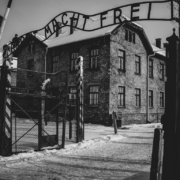 Holocaust Distortion and Denial in the Twenty-First Century